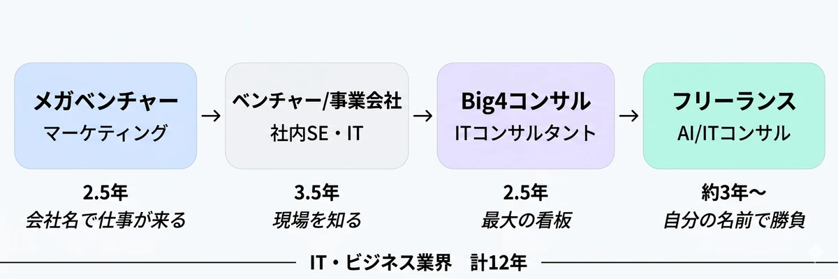 メガベンチャー→事業会社→Big4→フリーランス、IT・ビジネス業界12年のキャリア時系列